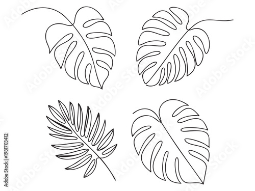 Abstract tropical vector leaf line art collection