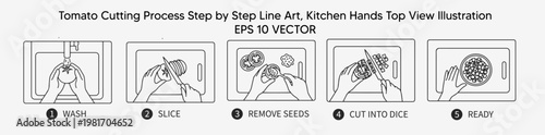 Tomato Cutting Process Step by Step Line Art, Kitchen Hands Top View Illustration
