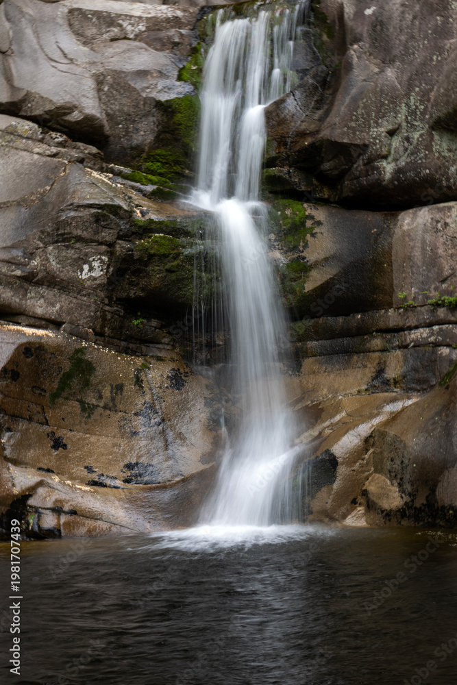 Fototapeta premium waterfall in the forest