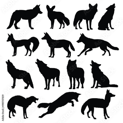 Set of silhouettes of coyotes isolated on white