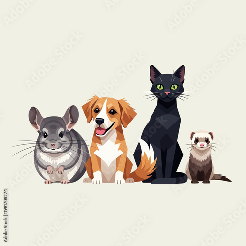 Cute domestic pets group with dog cat chinchilla and ferret