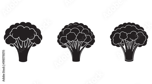 Black and white broccoli silhouettes with white outlines on plain white background for food design elements  three simple cauliflower icons