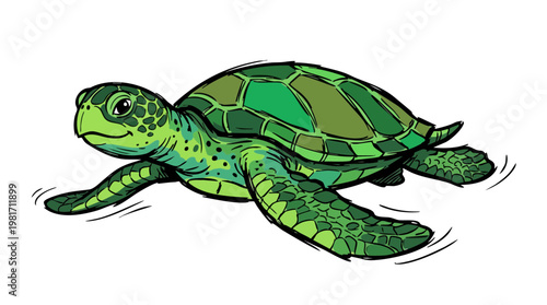 Green Sea Turtle Swimming Hand Drawn Vector Illustration