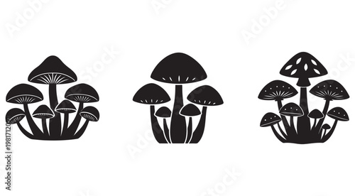 Black and white illustration of various mushroom clusters isolated on white background for design elements