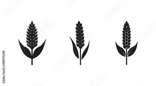 Black silhouette illustrations of wheat ears with leaves in various styles  wheat  grain  cereal