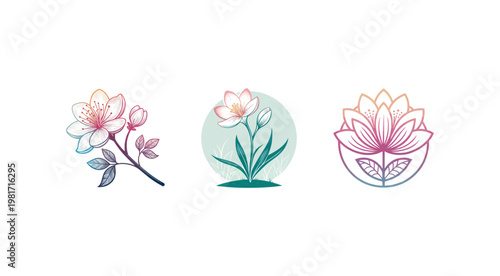 Colorful floral designs with cherry blossom and lotus flowers and leaves on white background  illustrations