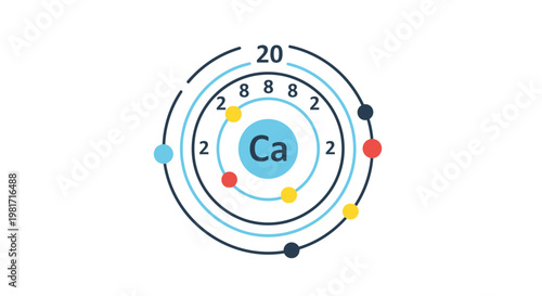Calcium Atom Bohr Model Vector Illustration Showing Electron Shell Configuration and Atomic Structure for Educational Science and Chemistry Learning Materials