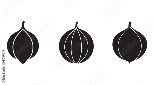 Onion silhouettes with white outlines in different orientations and cut views  vegetable illustrations