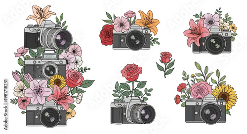 Camera collection with beautiful flower arrangements makes a nice.