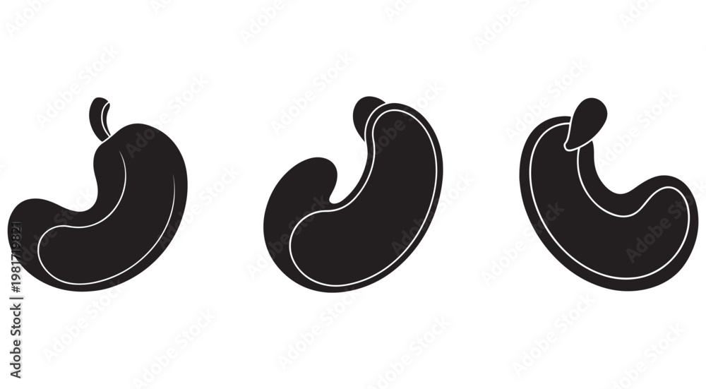 Fototapeta premium Stomach icons in different positions human organ illustrations digestive system anatomy symbols
