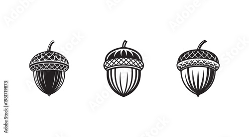 Three acorns with caps and stems side view illustrations  forest tree nuts  natural food  eco friendly  plant