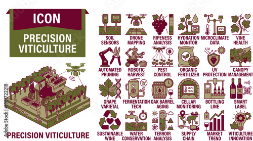 Viticulture Graphic in Vineyard Environment