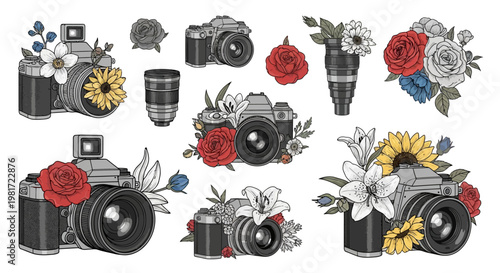 Camera sketches combined with botanical illustrations show artistic.