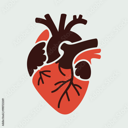 Anatomical Human Heart Two-Tone Flat Icon in Red and Dark Brown Vector Illustration
