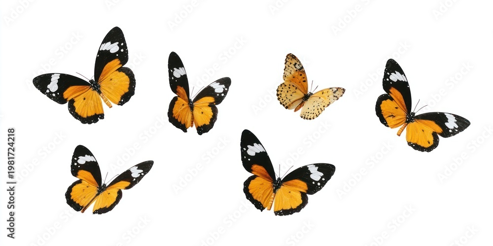 Fototapeta premium Vibrant butterflies in flight