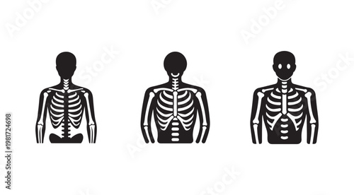 Three human skeleton silhouettes in different poses on white background  front and back views  isolated