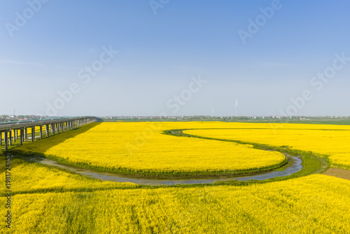 Wallpaper Mural Golden Rapeseed Fields with Winding River, Highway Bridge, and Wind Turbines Under Clear Sky Torontodigital.ca