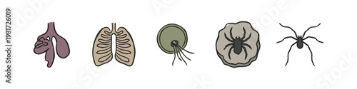 Hand Drawn Biological Icons Featuring Lungs, Microbes, Fossilized Spider and Arachnid