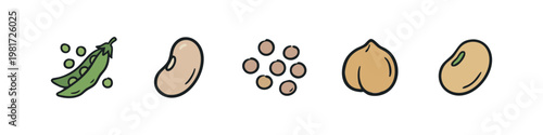 Collection of Hand Drawn Legumes Including Peas, White Bean, Seeds, Chickpea and Soybean