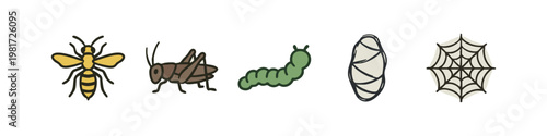 Set of Hand Drawn Insects and Biology Icons Featuring Bee, Caterpillar, Cocoon, Grasshopper and Spider Web