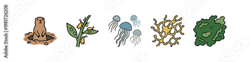 Nature and Small Wildlife Icons featuring Groundhog Aphids Jellyfish and Lichen