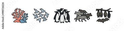 Animal Groups and Habitats including Coral Birds Penguins Wolves and Bats