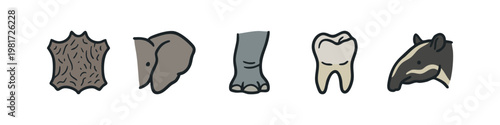 Elephant and Tapir Anatomy Icons including Skin Texture Foot and Tooth