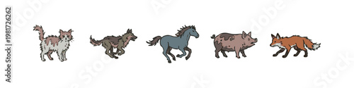 Wild and Farm Animals Set featuring Cat Wolf Horse Pig and Fox Illustration