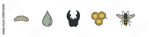 Bees and Insect Biology Icons, Hand-Drawn Doodle Style Vector Set