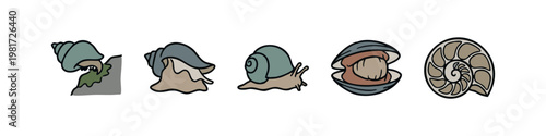 Assorted Sea Shells and Snails, Hand-Drawn Nautical Doodle Vector Set