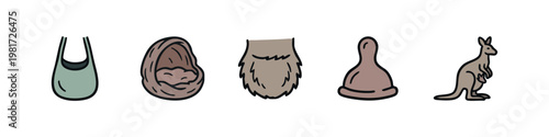 Kangaroo related items and marsupial life doodle icons.