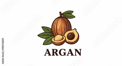 Hand-drawn illustration of argan fruit with leaves and text