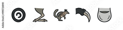 Australian Wildlife Anatomy and Marsupial Icon Set