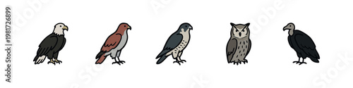 Tableau sur toile Diverse Birds of Prey and Raptor Species Icon Set