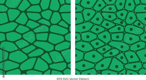 Cellular structures represented by a green geometric pattern illustrate biological microscopic organisms for educational or scientific research purposes.