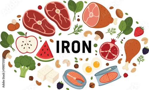 Iron rich food collection with meat fish vegetables fruits and nuts, healthy nutrition sources illustration set for diet and wellness concept