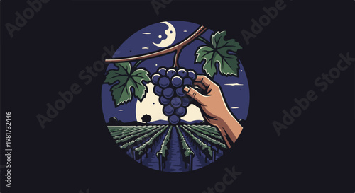 Hand harvesting grapes under a crescent moon in a vineyard