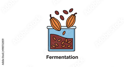 Cocoa Bean Fermentation Process Icon