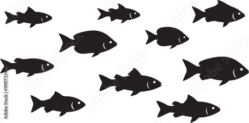 Fish Swimming Silhouette, Simple Black Vector Isolated on White Background