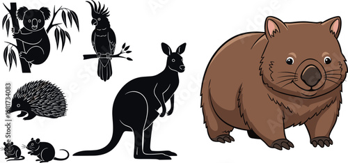 Australian animals collection with wombat kangaroo koala and echidna silhouette and cartoon vector illustration set