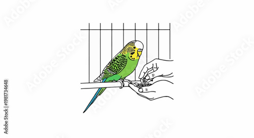 Green budgie on perch being fed seeds from cupped hands inside a cage