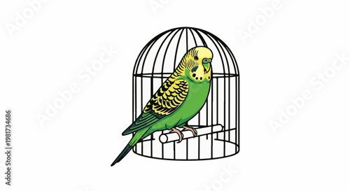 Green budgie perched inside a black cage on a white background