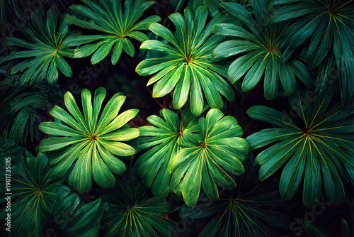 background, this seamless pattern of green palm