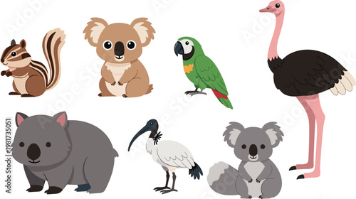 Australian animals set with koala wombat parrot ostrich ibis and chipmunk vector illustration collection