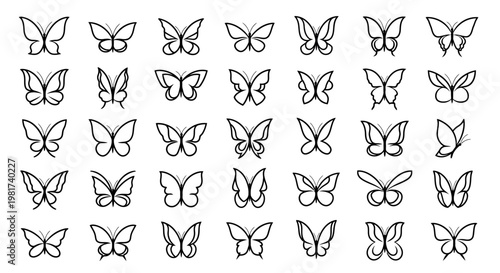 Collection of various butterfly line art.