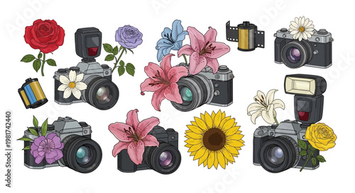 Cameras decorated with blooming flowers create a artistic design.