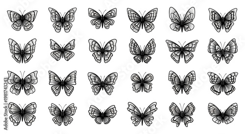 Collection of various butterfly illustrations.
