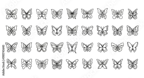 Collection of various butterfly illustrations.