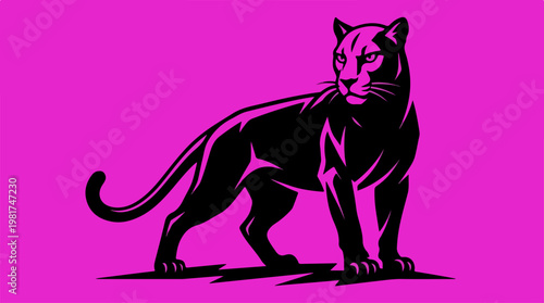 Black Panther Standing Facing Right.