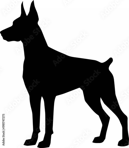 Black silhouette of a Doberman Pinscher.